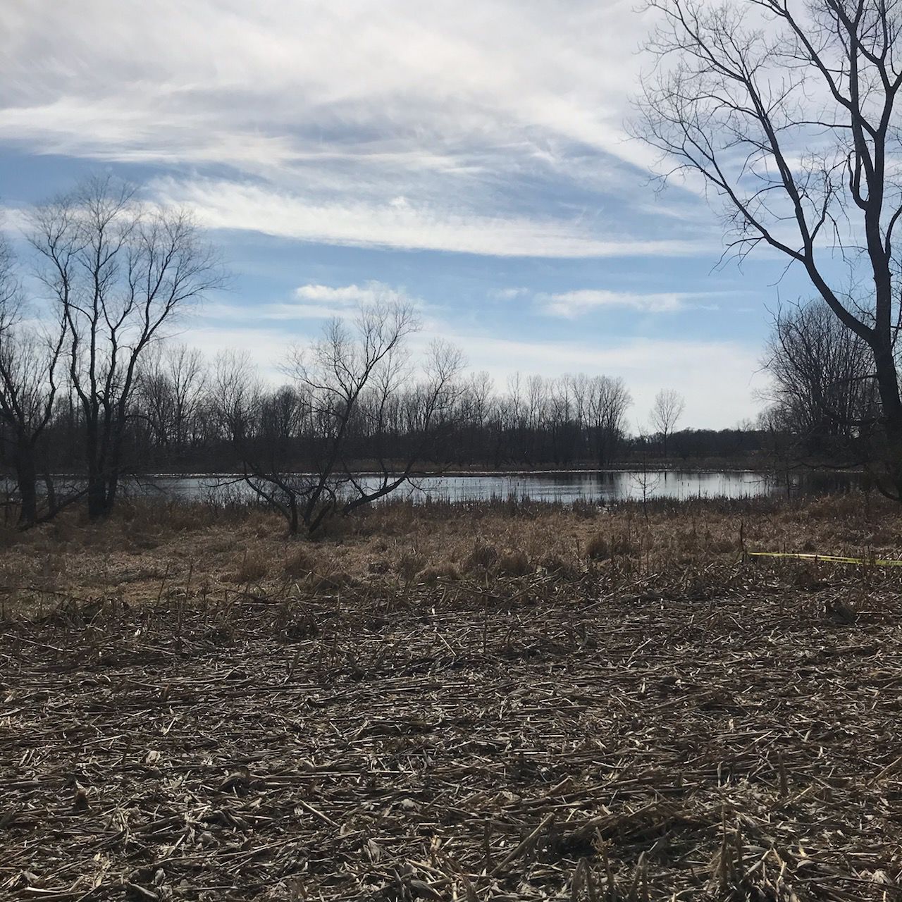 Remains Found in Field